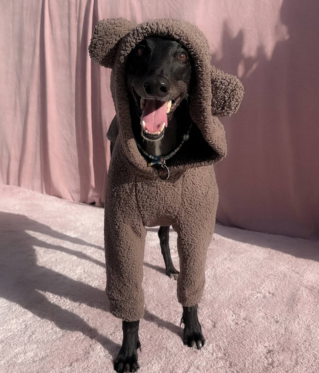 The Bear Hoodie