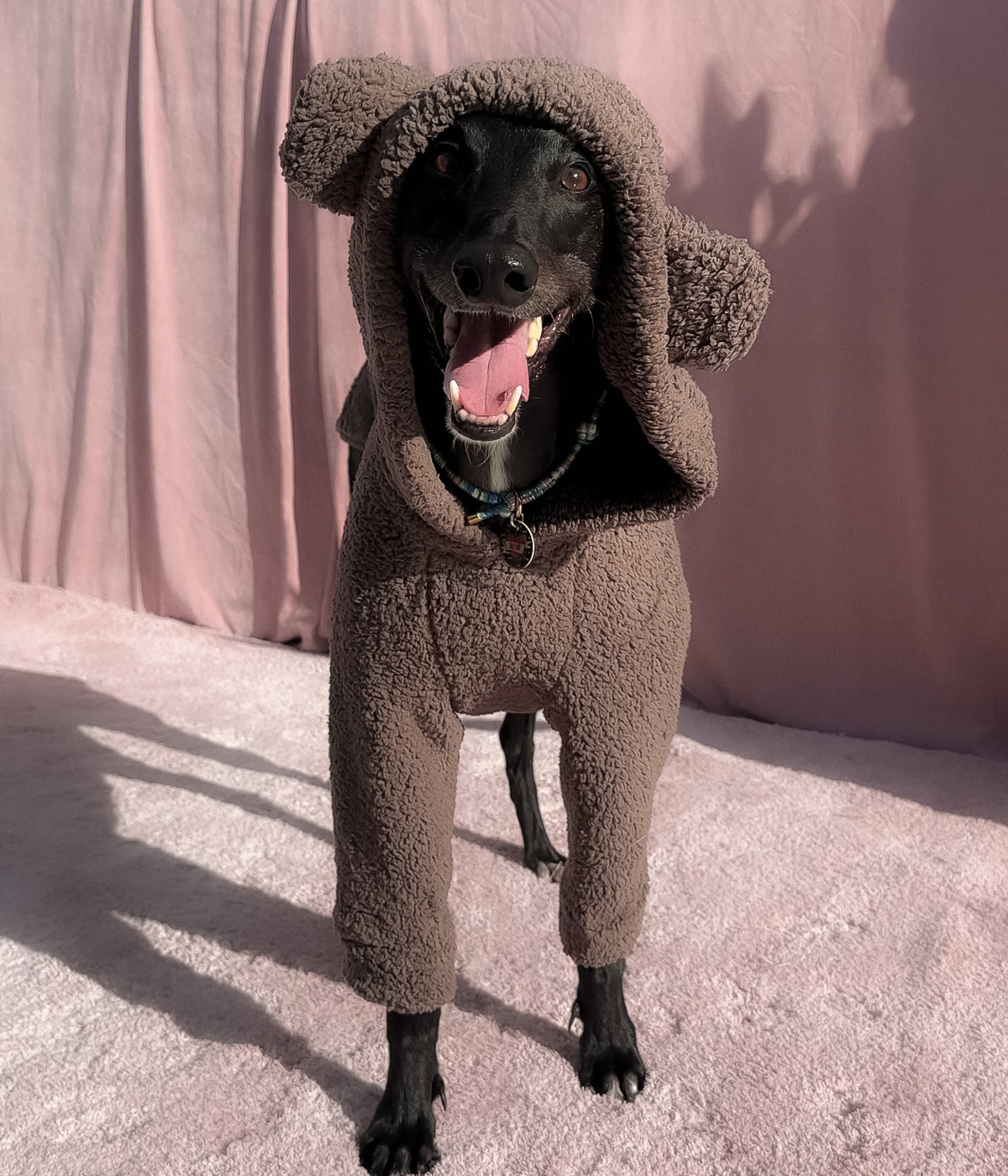 The Bear Hoodie