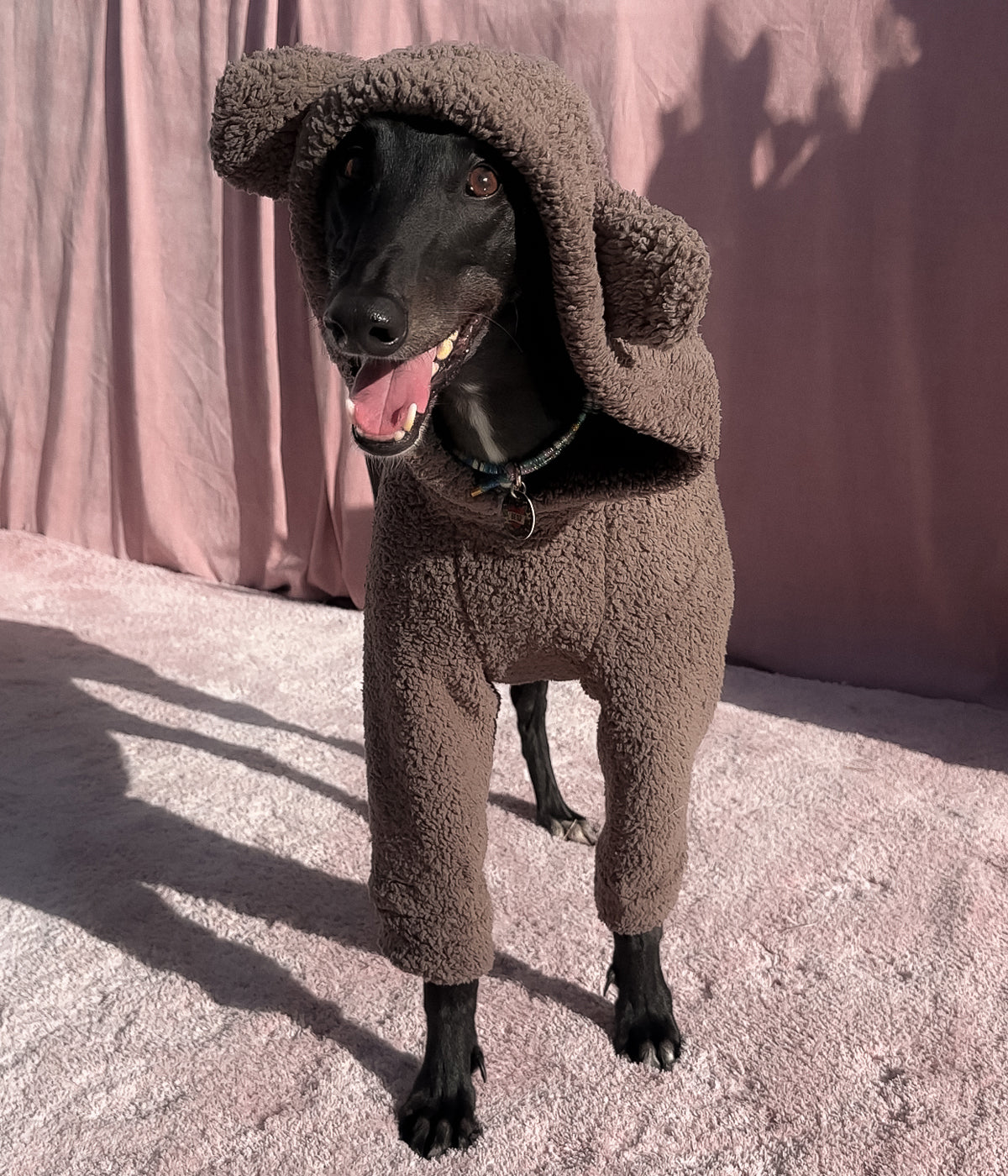 The Bear Hoodie