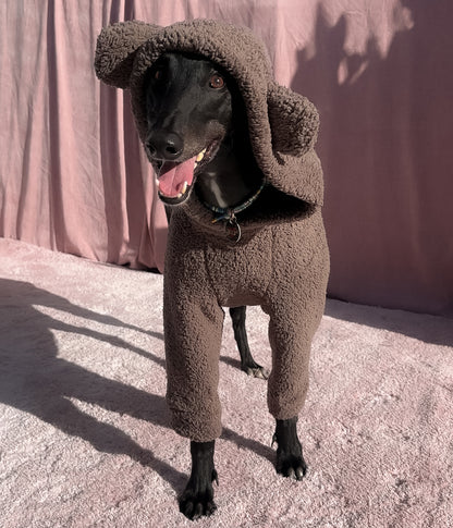 The Bear Hoodie