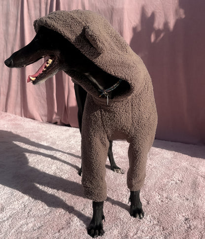 The Bear Hoodie