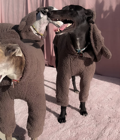The Bear Hoodie