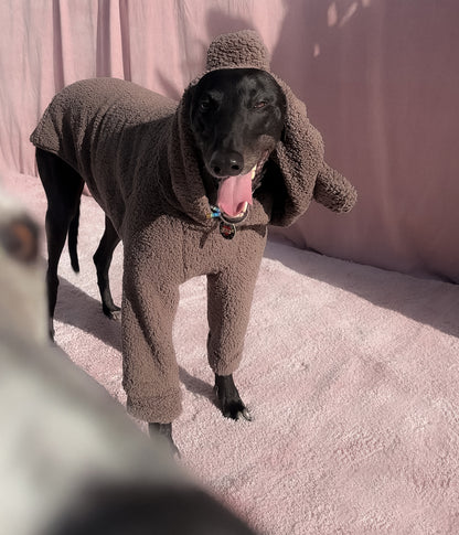 The Bear Hoodie