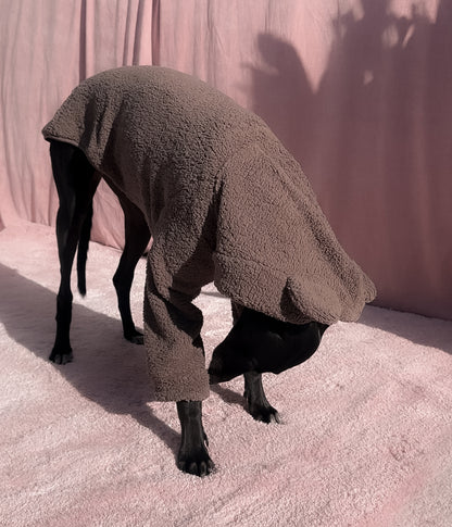 The Bear Hoodie