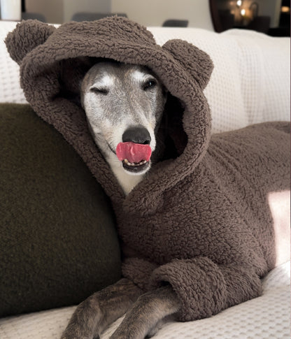 The Bear Hoodie