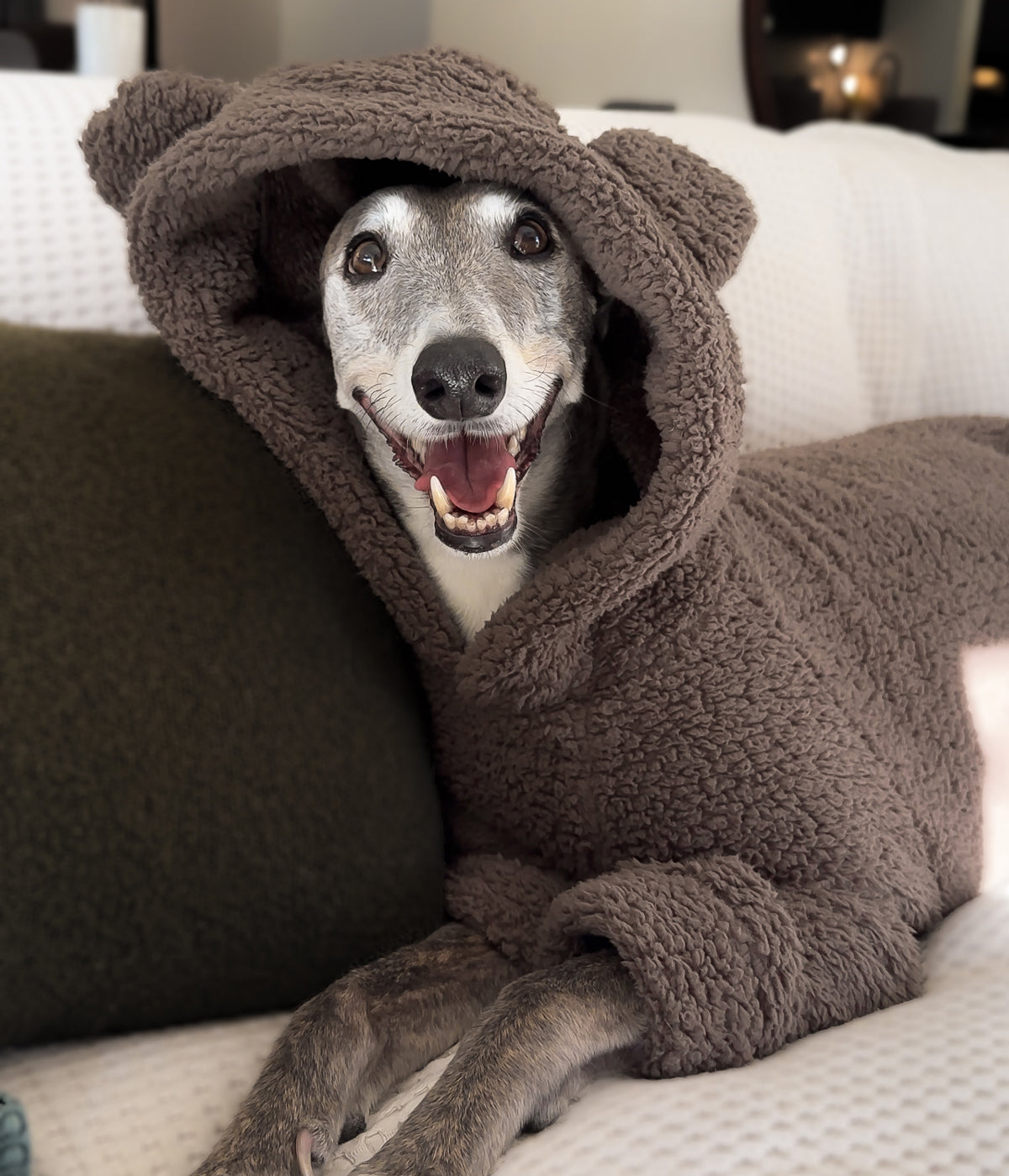 The Bear Hoodie