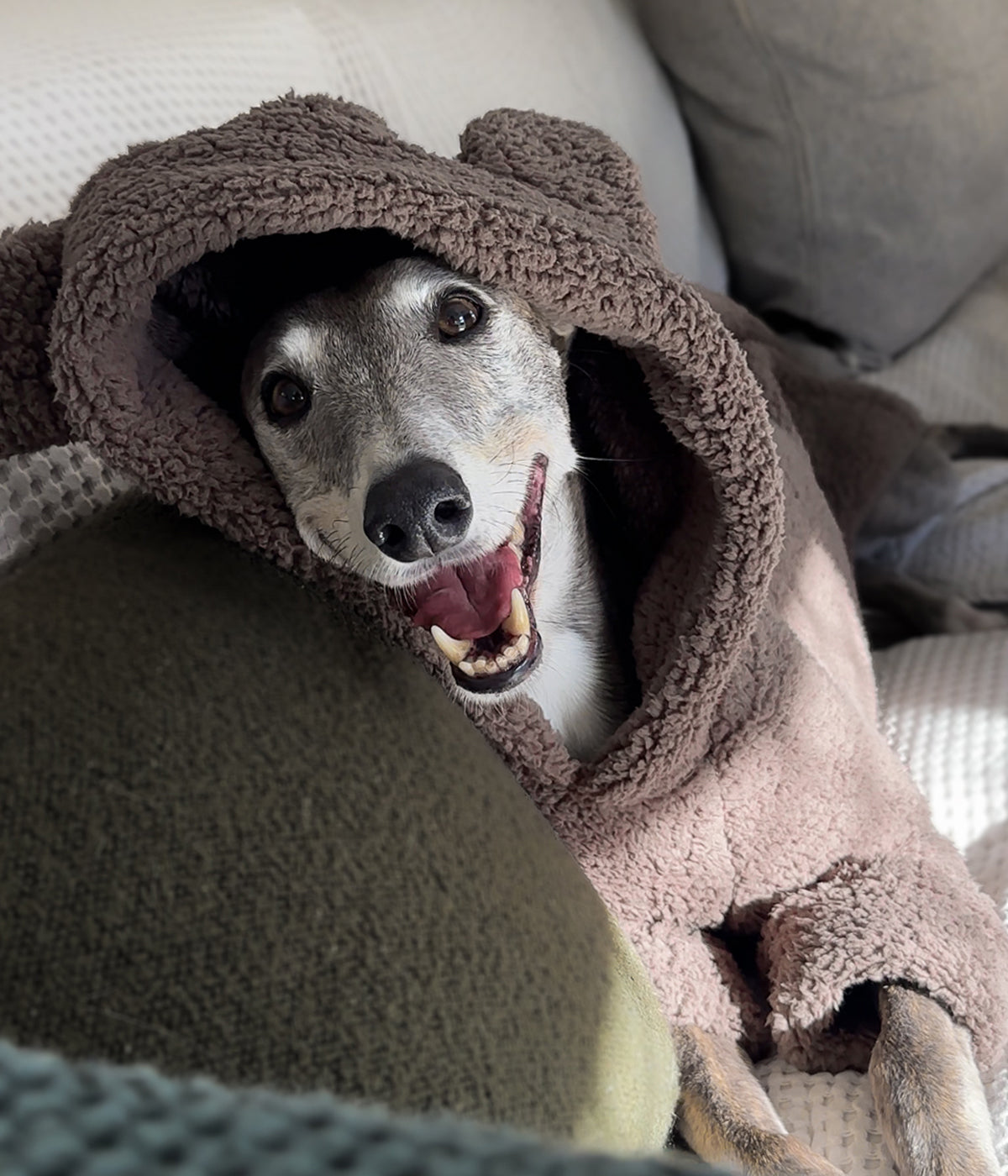 The Bear Hoodie
