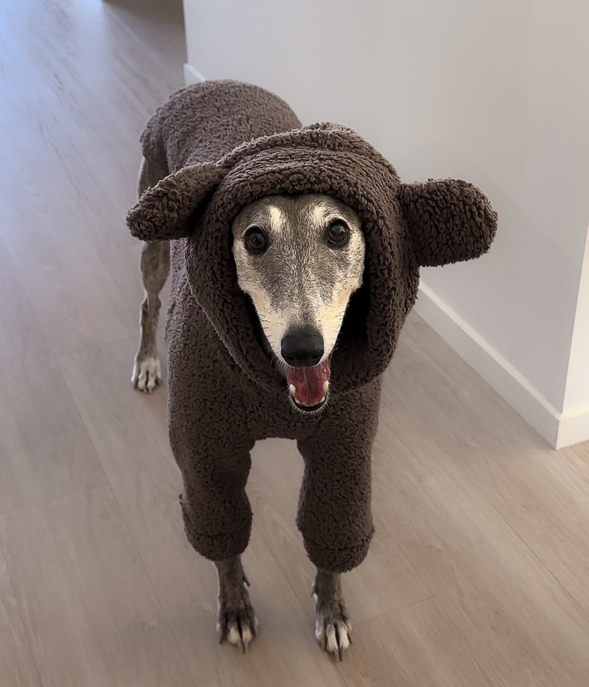 The Bear Hoodie