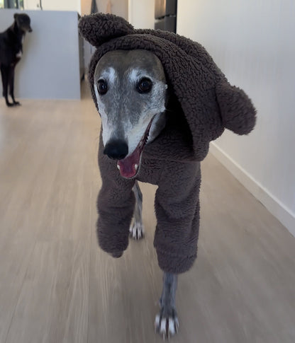 The Bear Hoodie