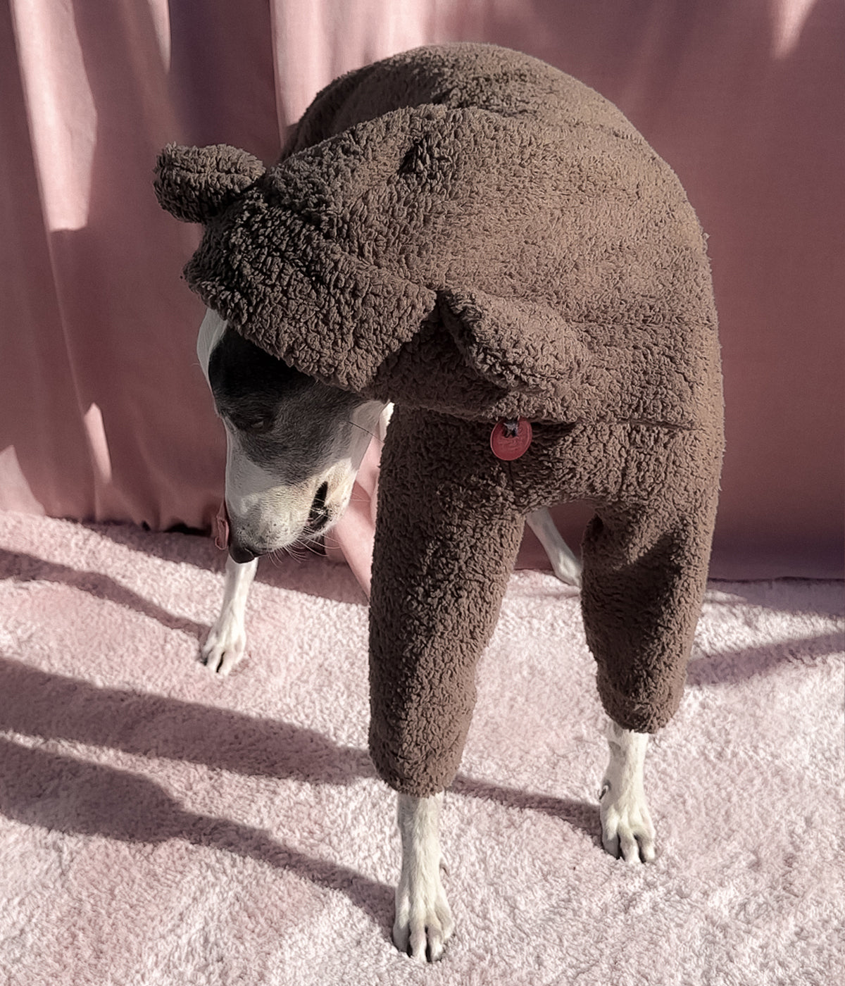 The Bear Hoodie