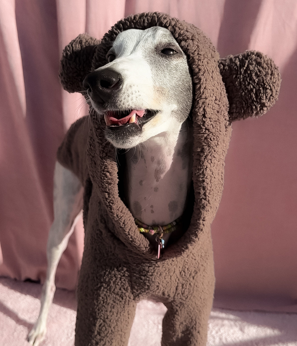 The Bear Hoodie