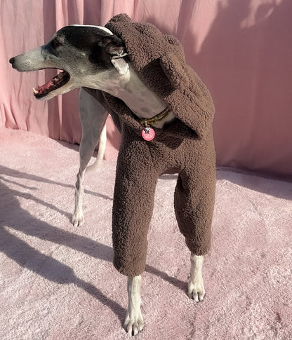 The Bear Hoodie