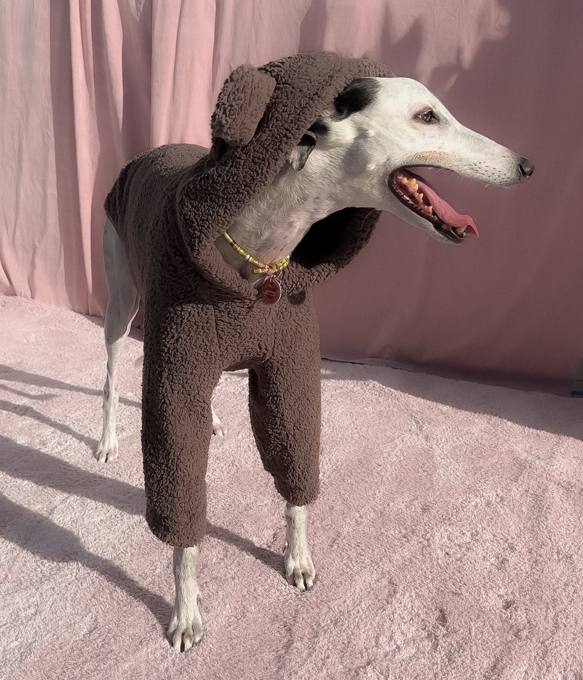The Bear Hoodie