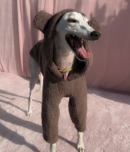 The Bear Hoodie