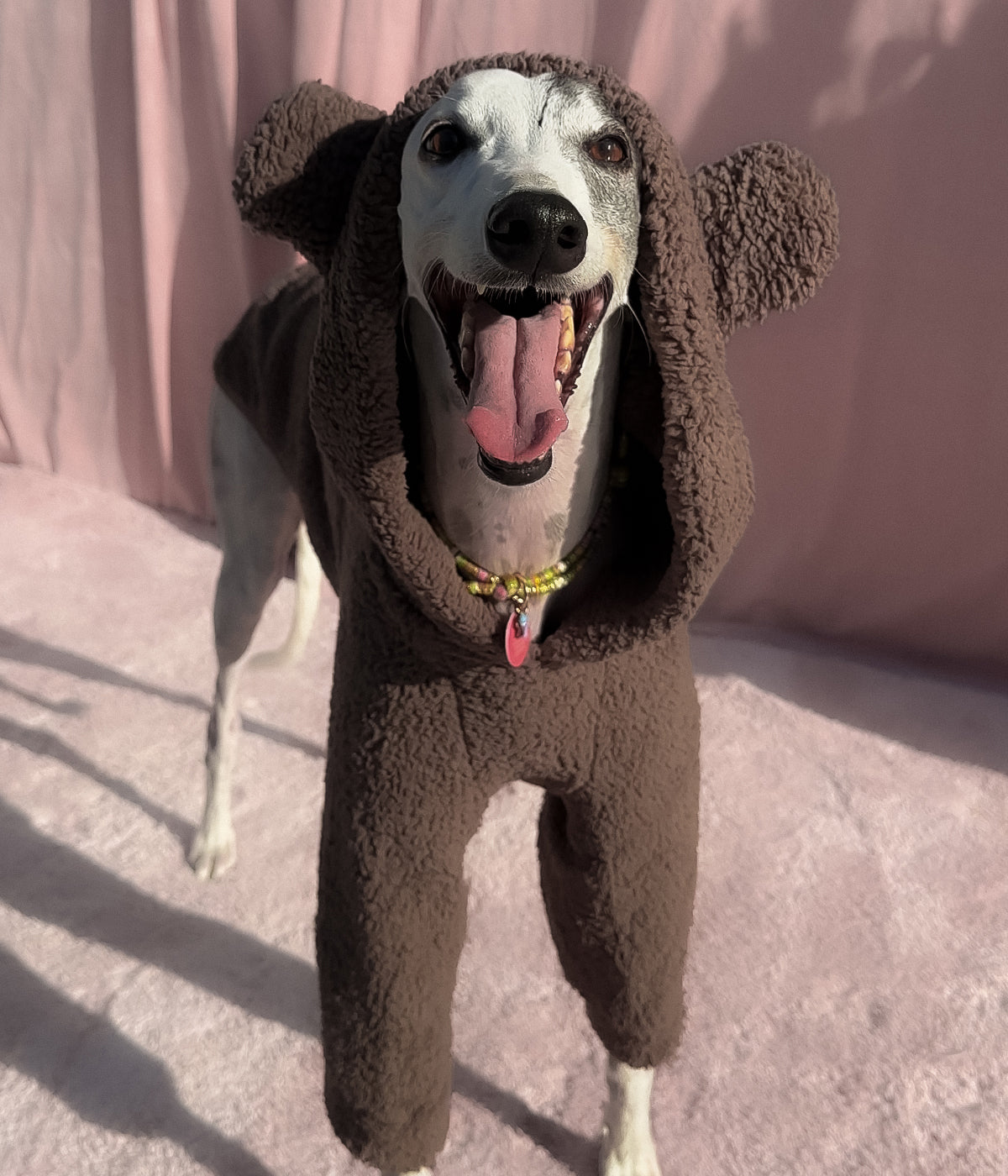 The Bear Hoodie