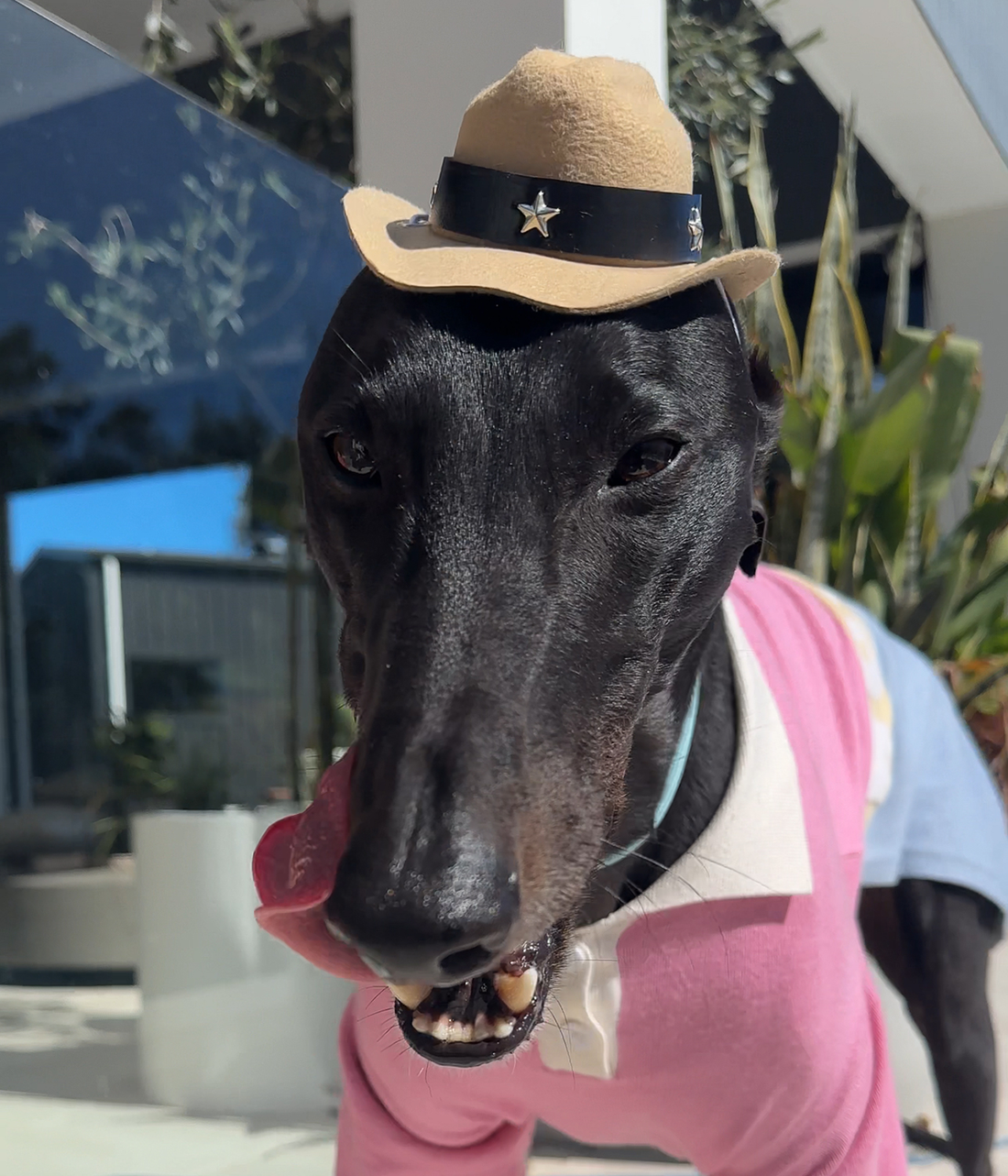 Cowboy Hat - Beige