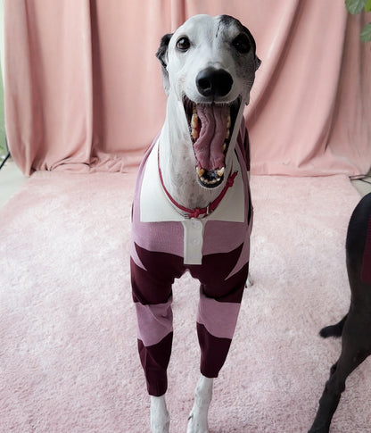 Berry Nice Polo
