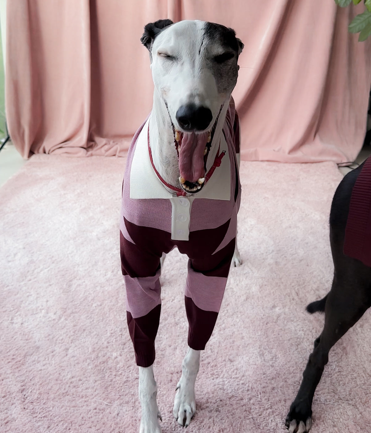 Berry Nice Polo