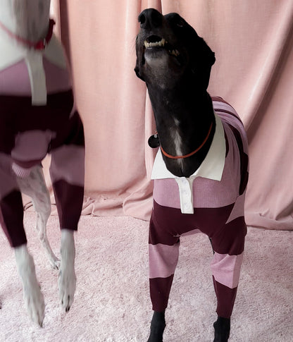 Berry Nice Polo