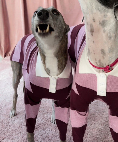 Berry Nice Polo