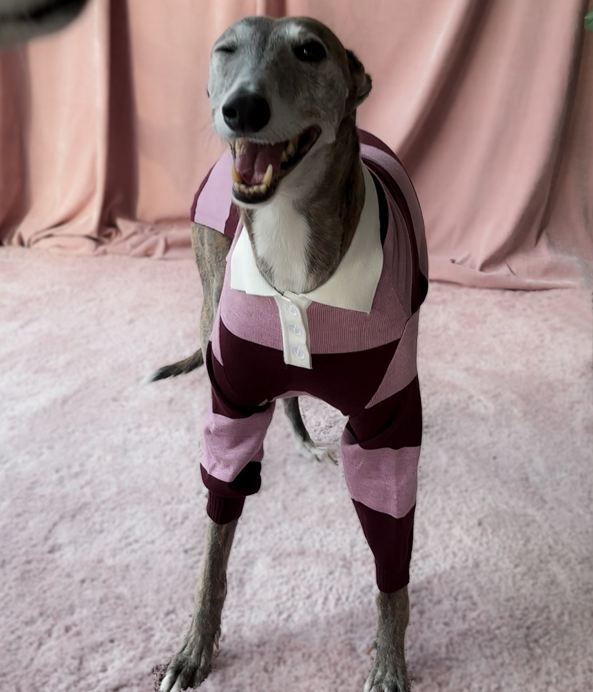 Berry Nice Polo