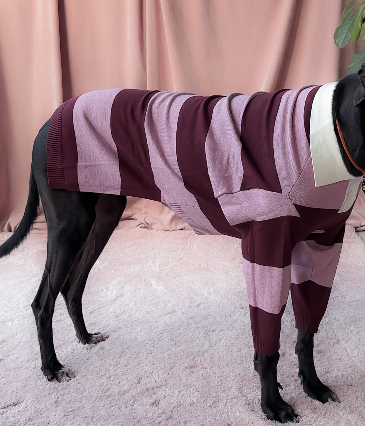 Berry Nice Polo