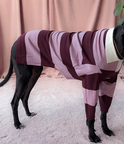 Berry Nice Polo