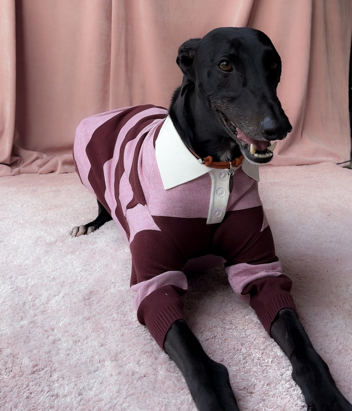 Berry Nice Polo