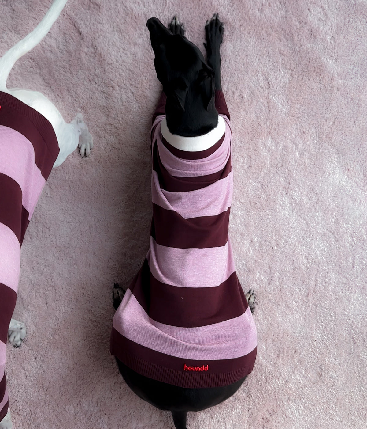 Berry Nice Polo