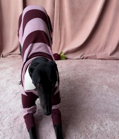 Berry Nice Polo
