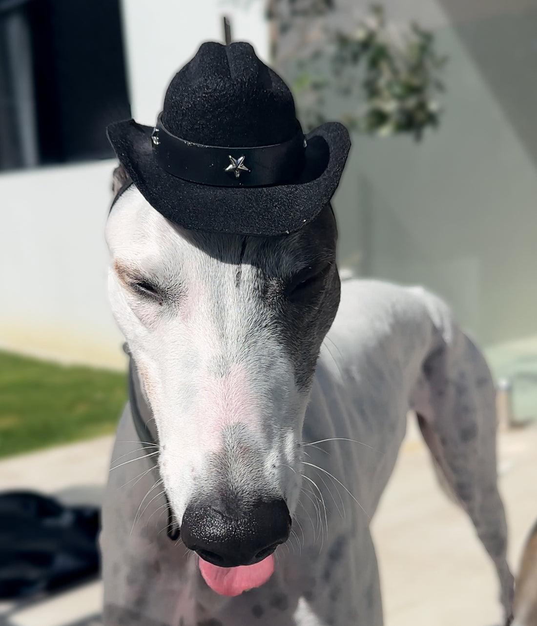 Cowboy Hat - Black