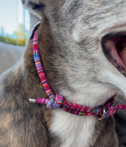 Boho House Collar - Bloom