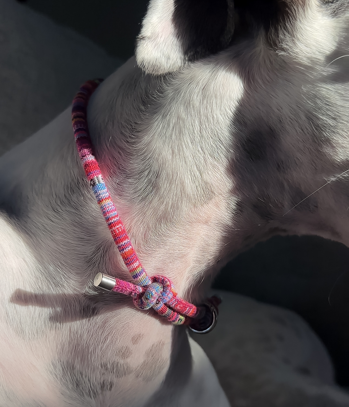 Boho House Collar - Bloom