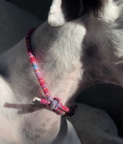 Boho House Collar - Bloom