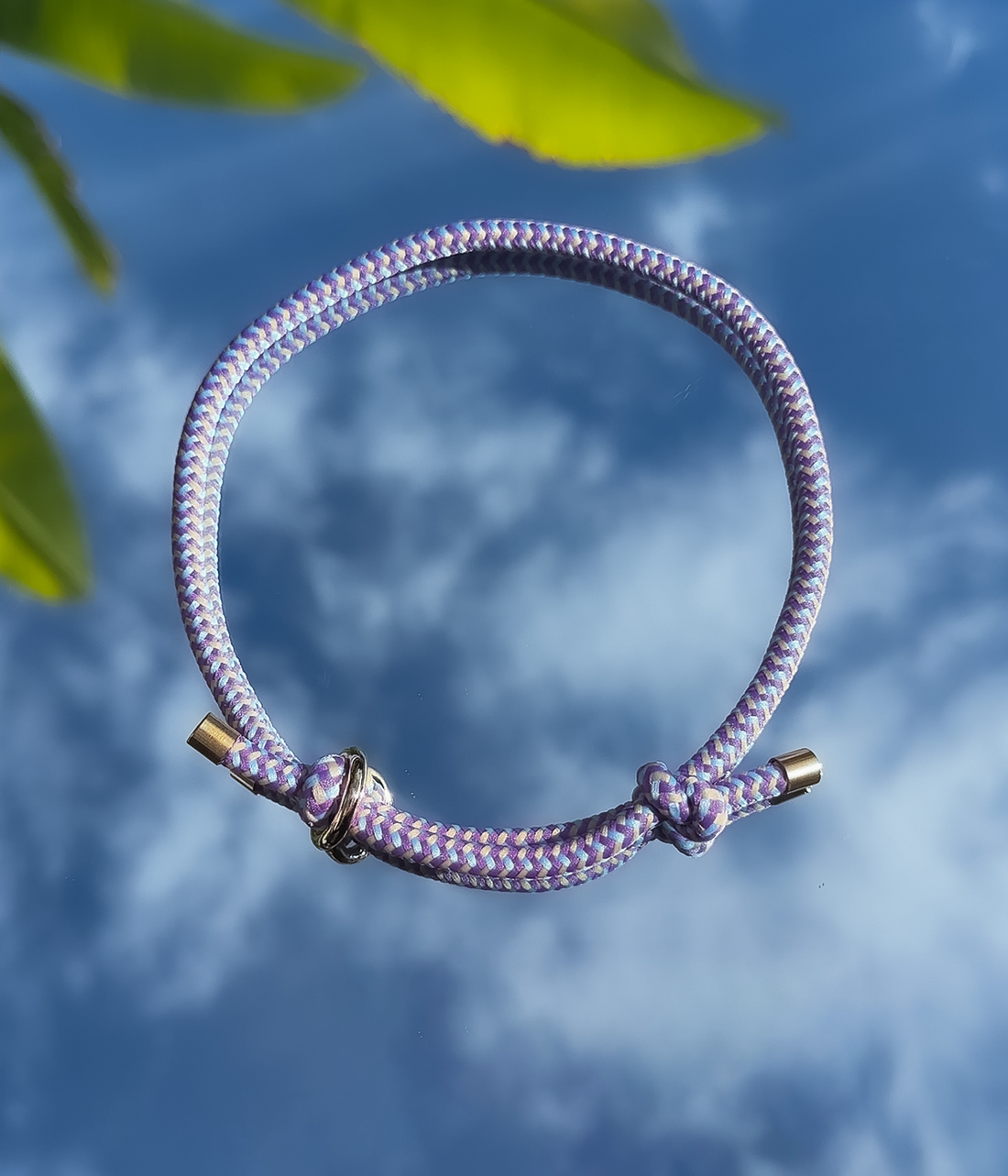 House Collar - Blueberry Crumble