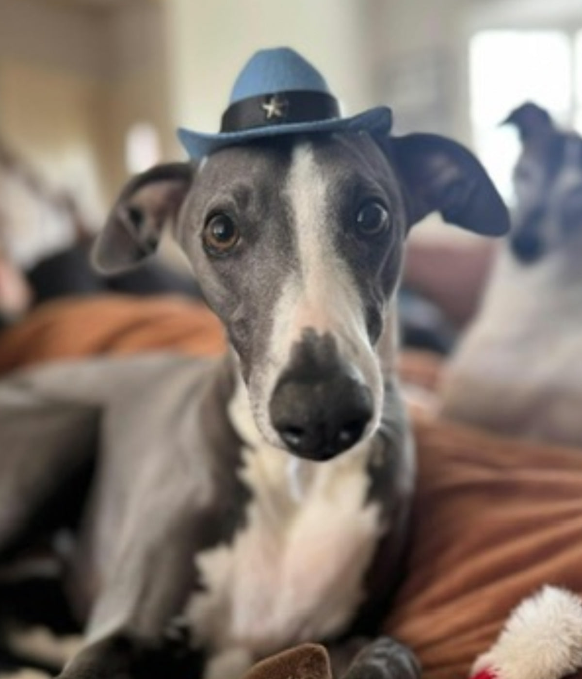 Cowboy Hat - Blue