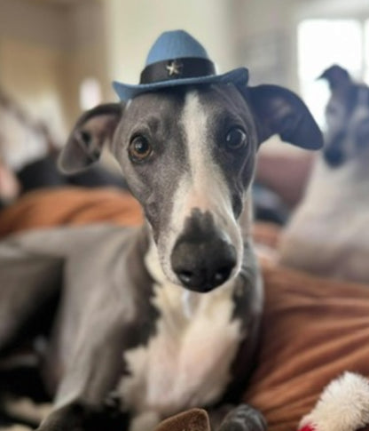 Cowboy Hat - Blue