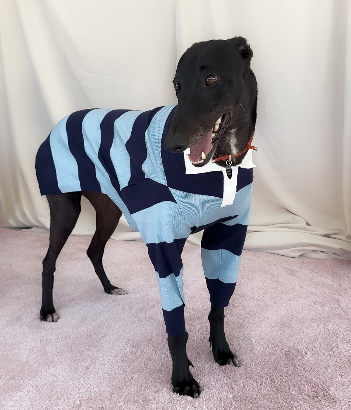 Blues Polo
