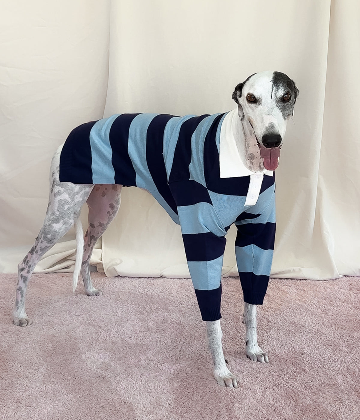 Blues Polo