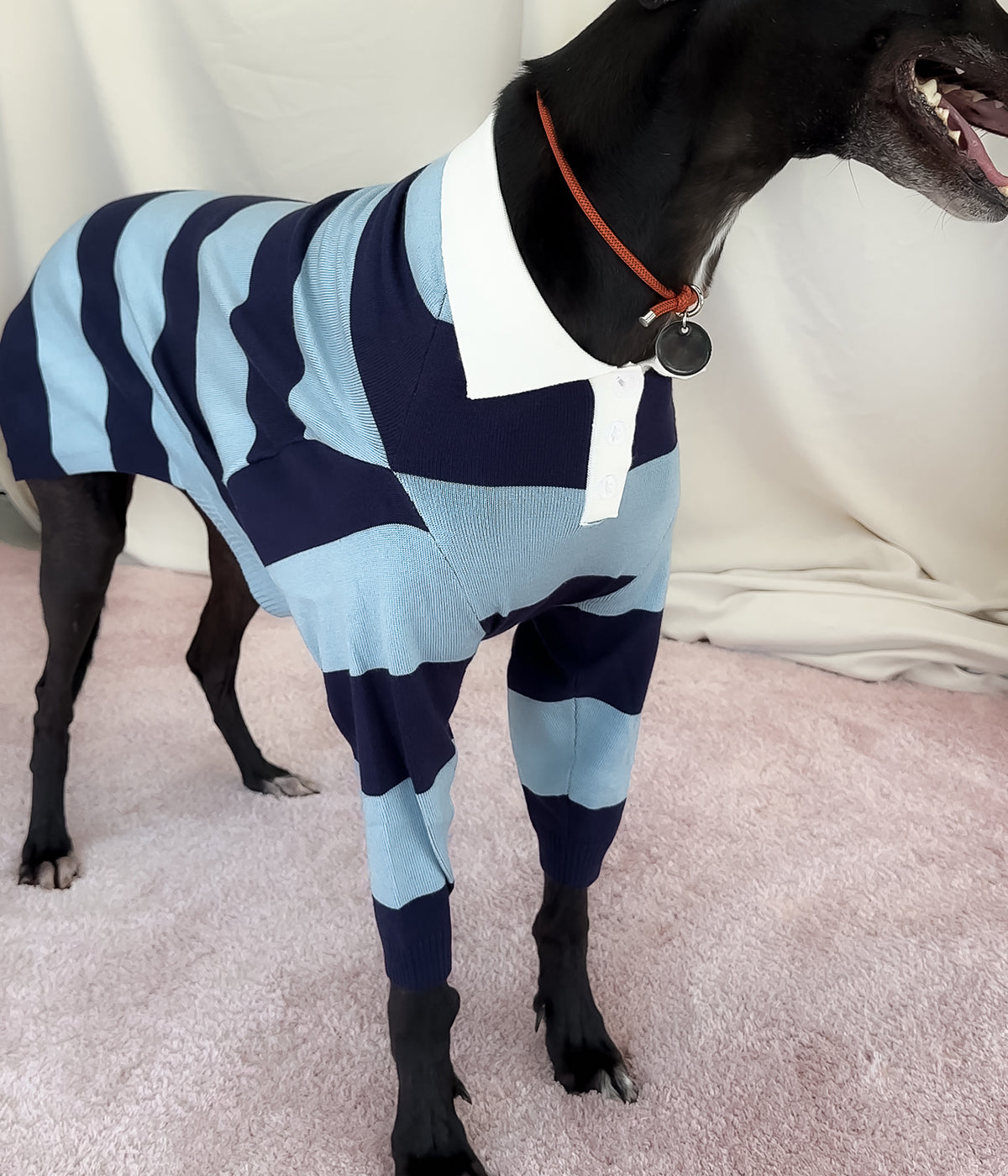 Blues Polo