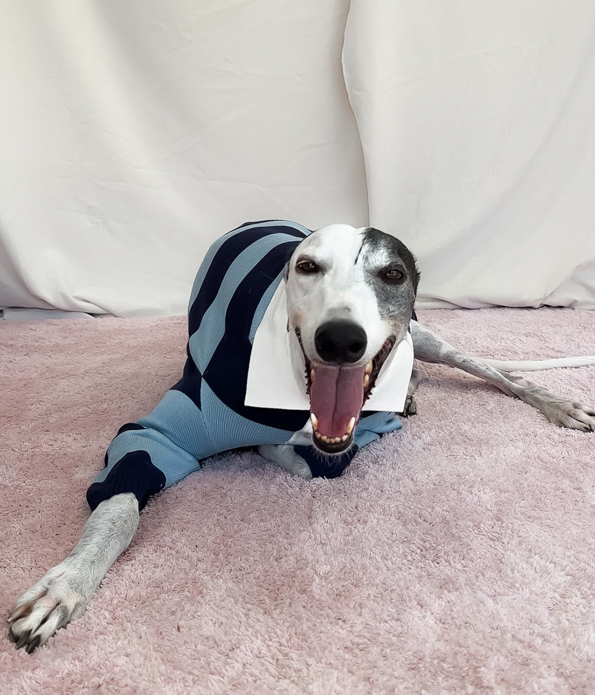 Blues Polo