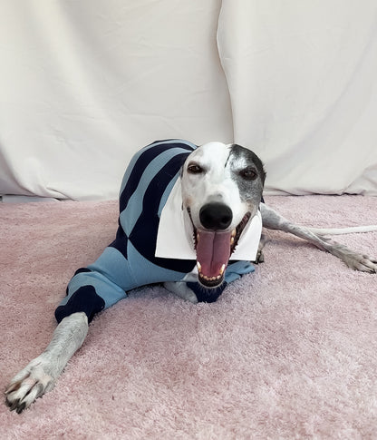 Blues Polo