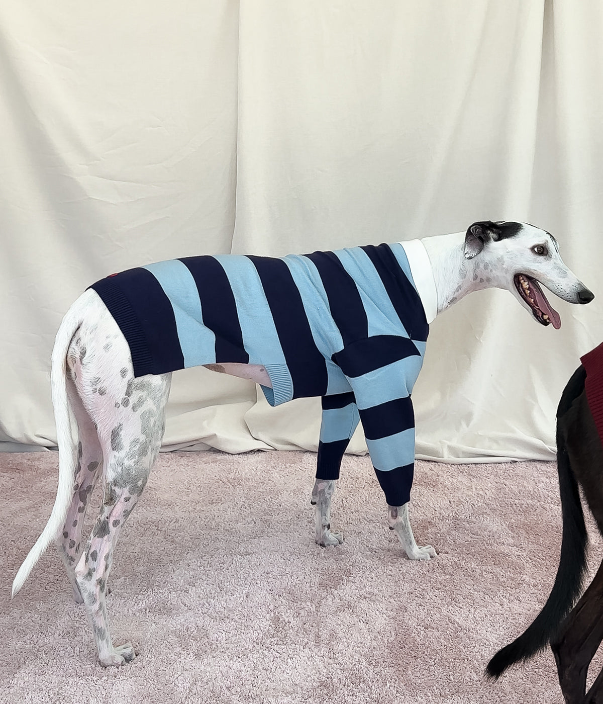 Blues Polo