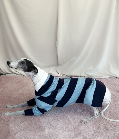Blues Polo