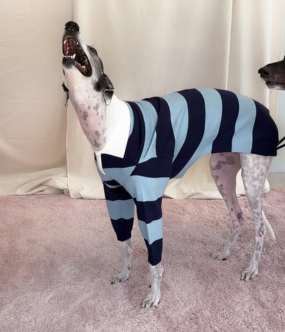 Blues Polo