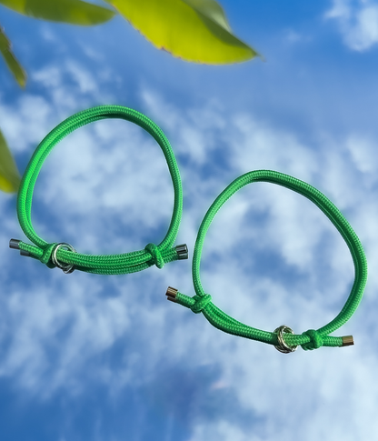 House Collar - Bottega Green