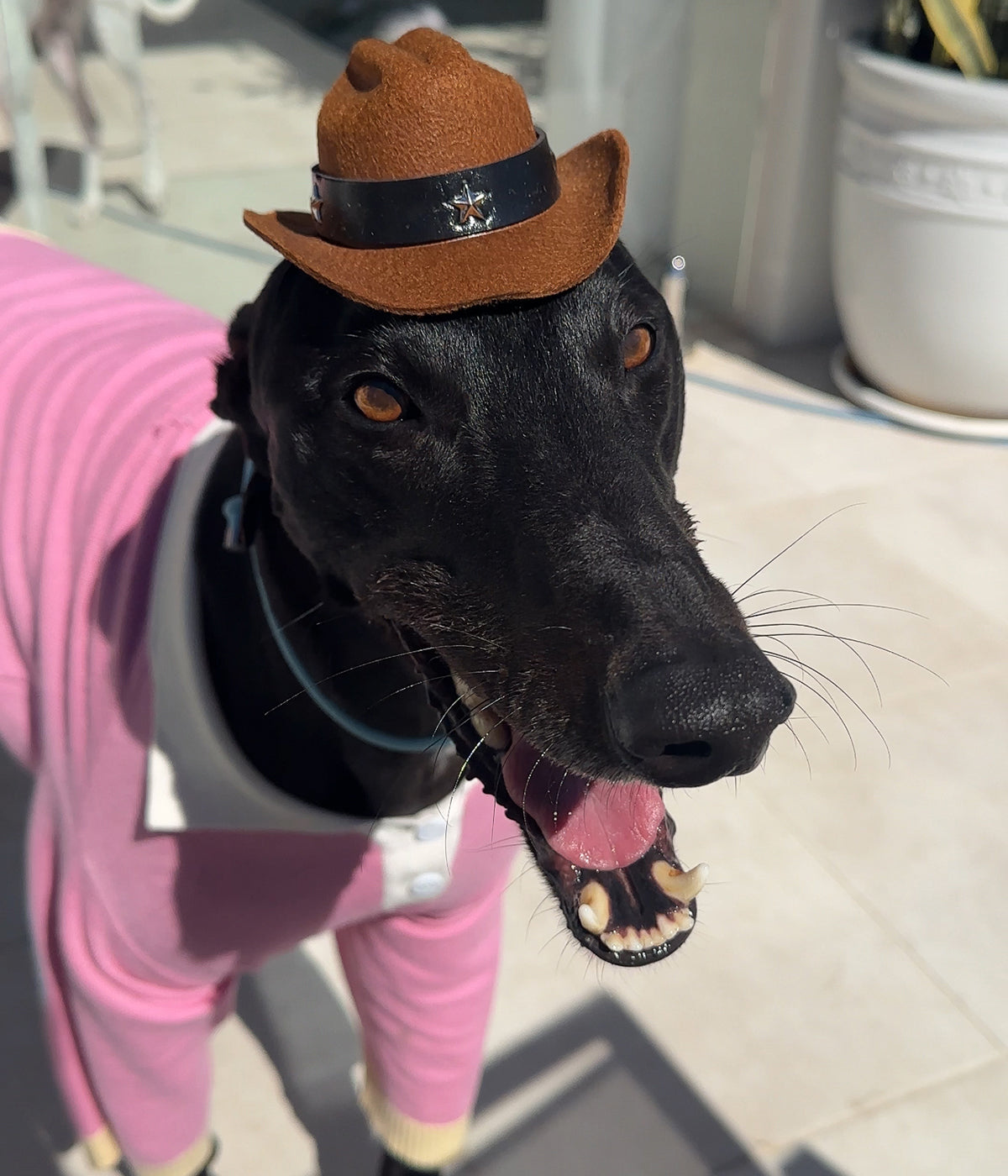 Cowboy Hat - Brown