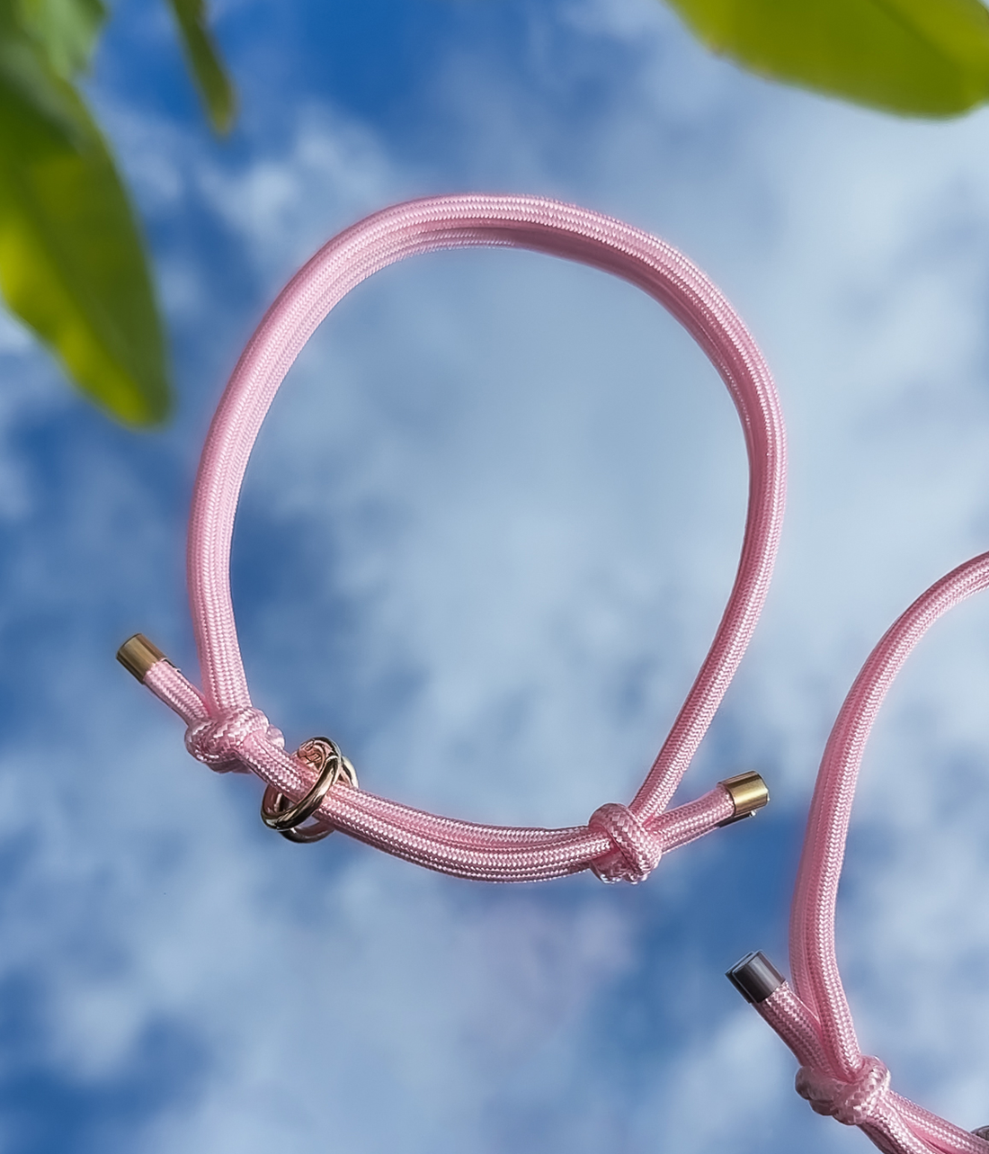 House Collar - Bubblegum