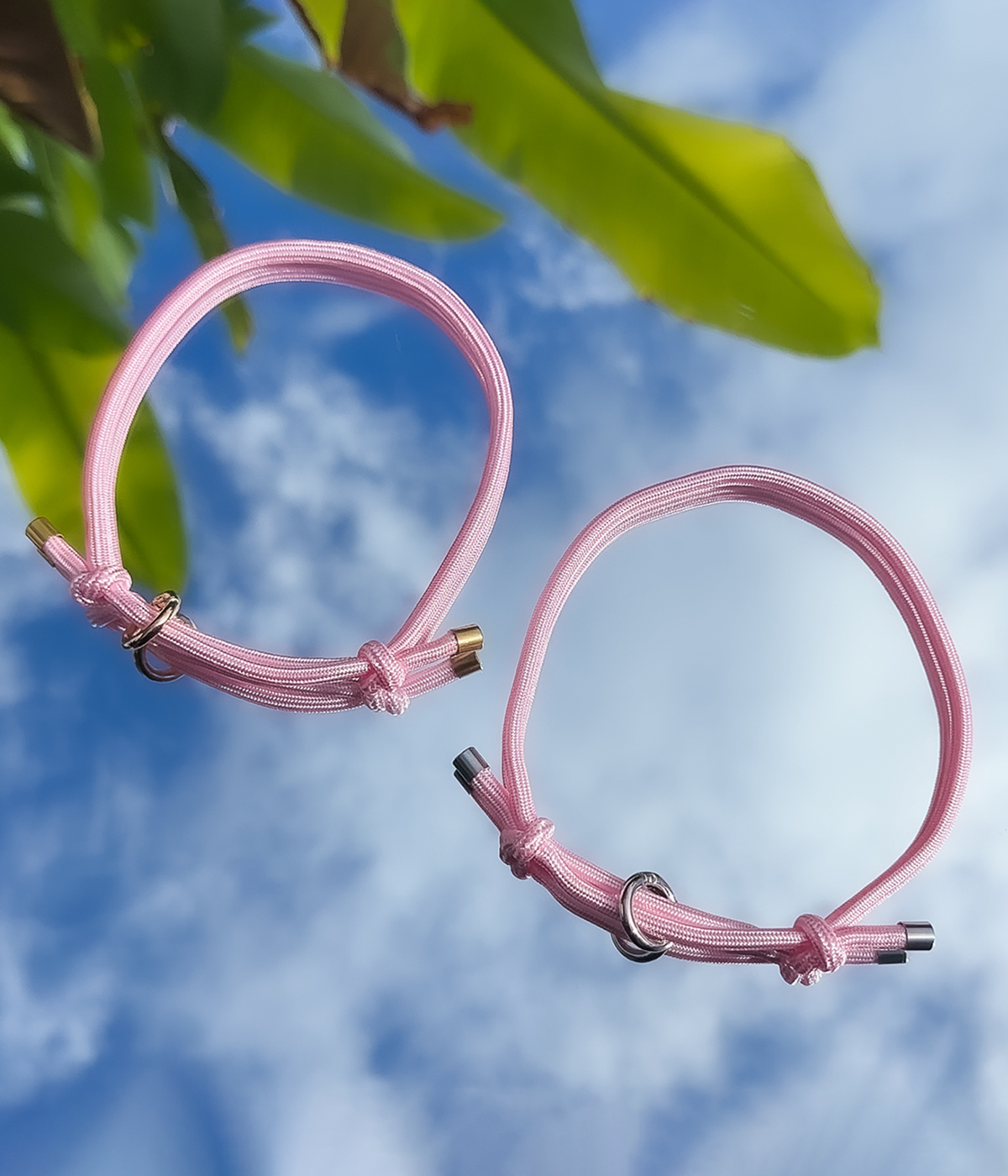 House Collar - Bubblegum