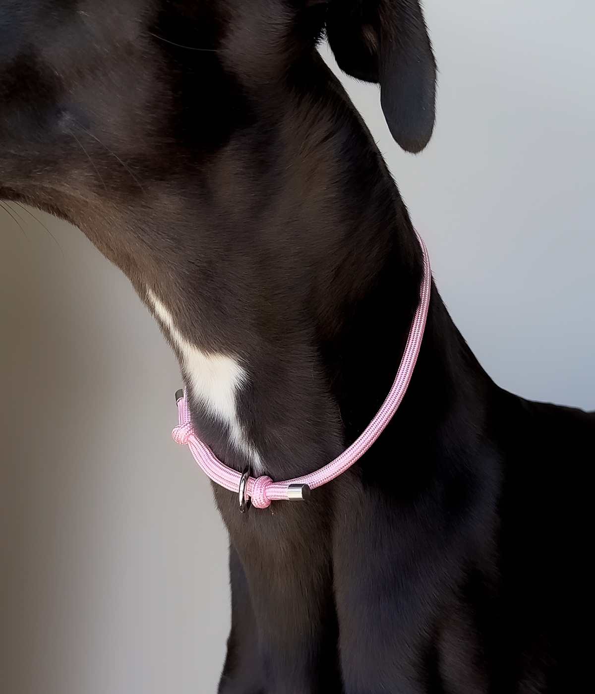 House Collar - Bubblegum